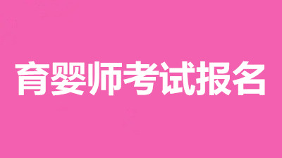 2022年育嬰師考試報(bào)名官網(wǎng)入口,正式開(kāi)通